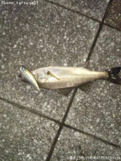 �����Х�