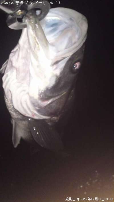 �����Х�