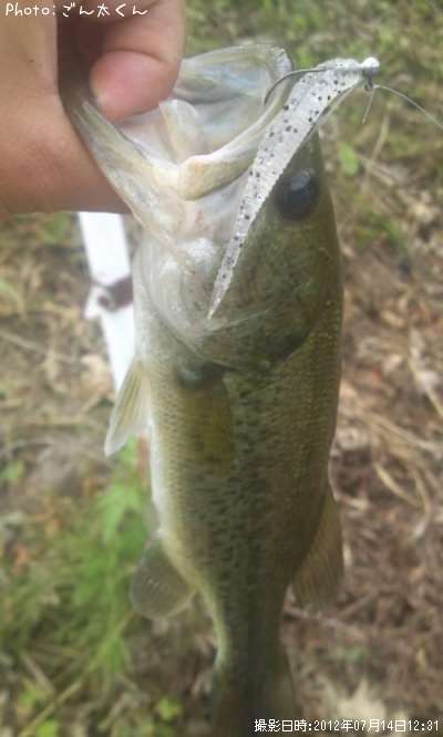 �֥�å��Х�