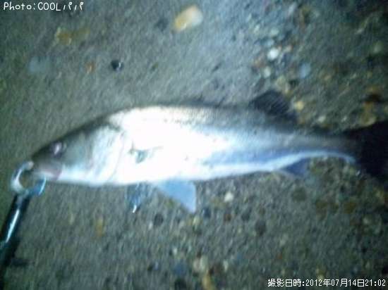 �����Х�