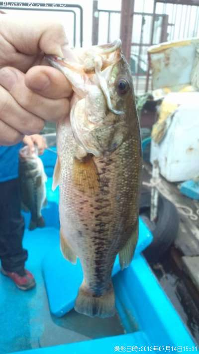 �֥�å��Х�