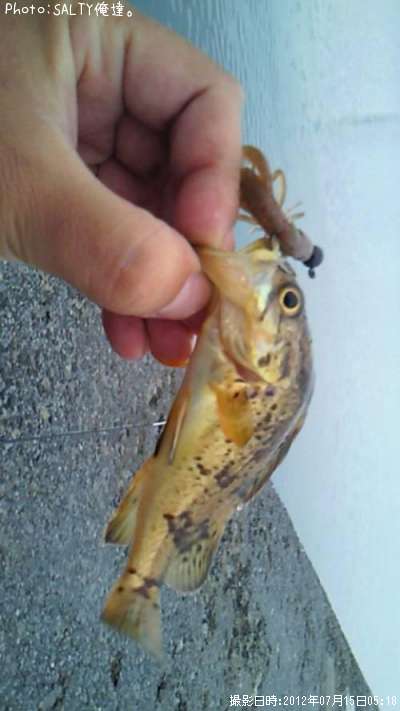 �����Υ���Х�