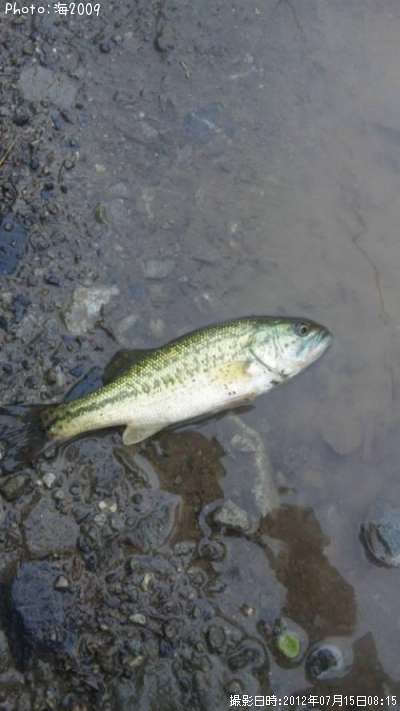 �֥�å��Х�