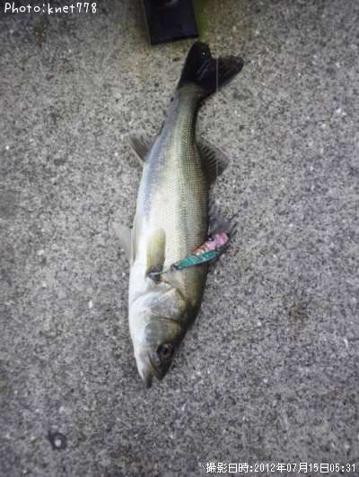 �����Х�