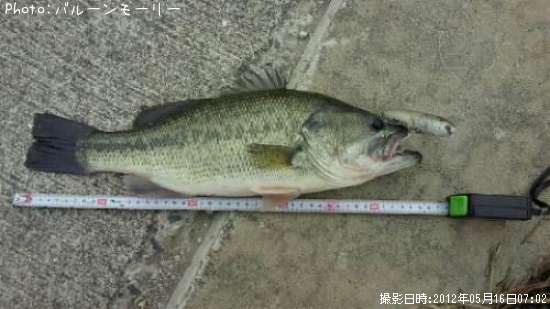 �֥�å��Х�