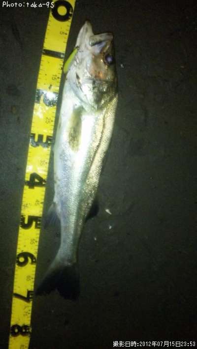 �����Х�