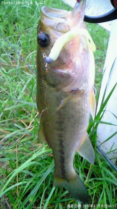 �֥�å��Х�