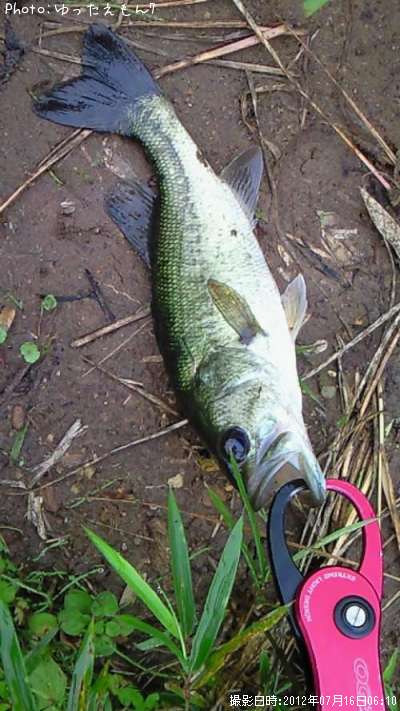 �֥�å��Х�