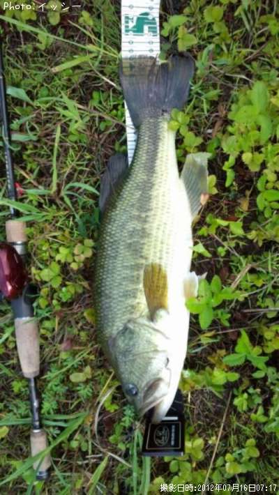 �֥�å��Х�