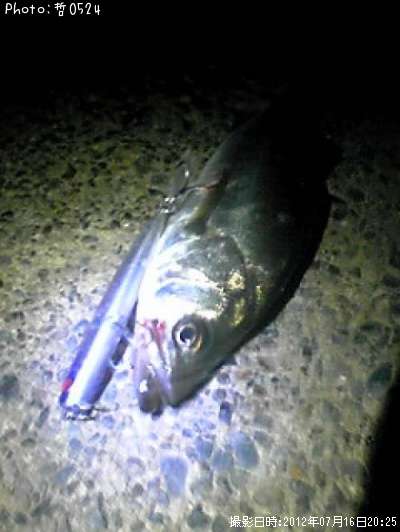 �����Х�