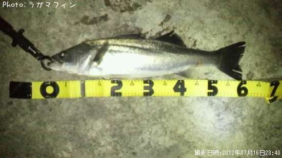 �����Х�