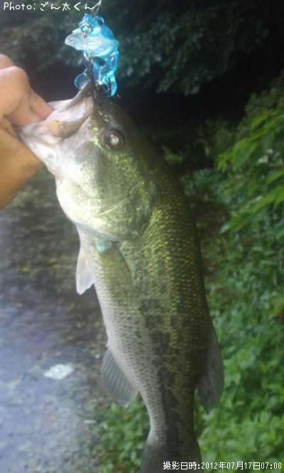 �֥�å��Х�