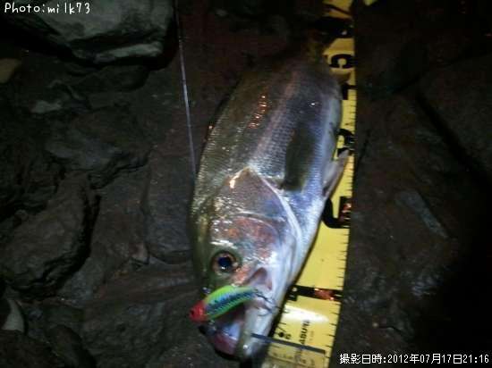 �����Х�