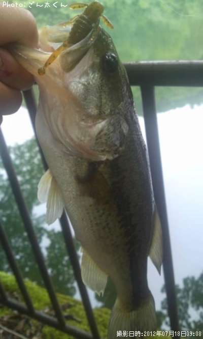 �֥�å��Х�