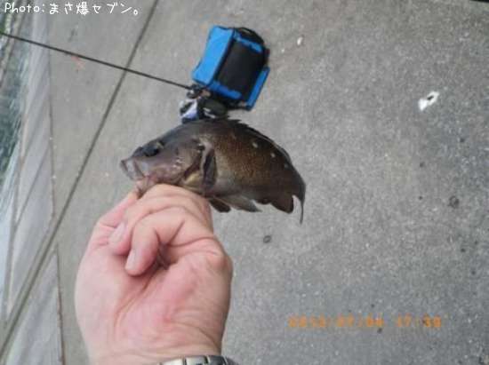 ������Х�