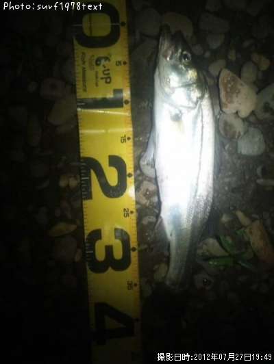 �����Х�