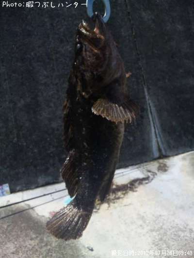 �٥å�������