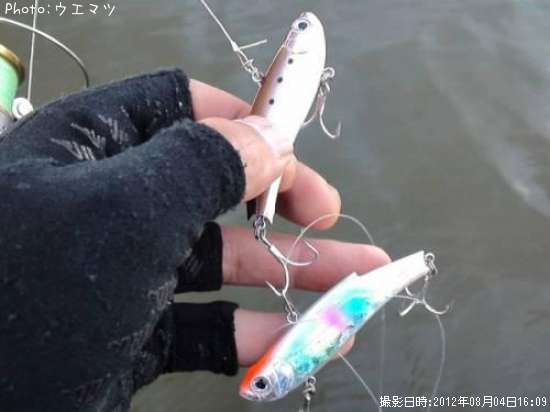 �ң��Σǣš��֣ɣ¡�����