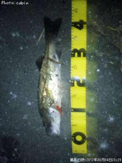 �����Х�