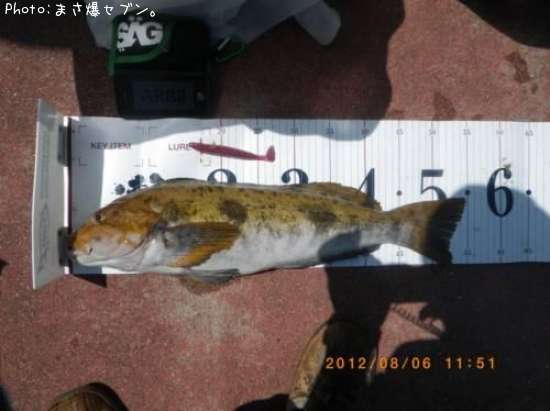 �����ʥ�