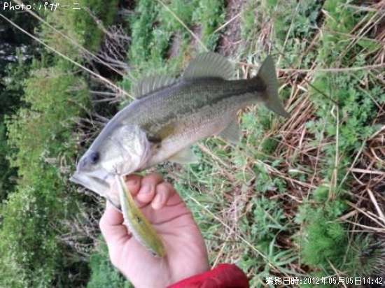 �֥�å��Х�