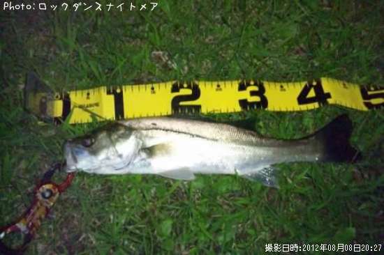 �����Х�