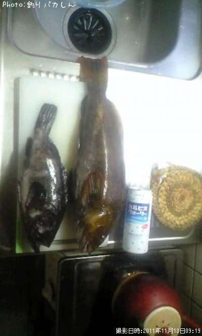 �����ʥ�