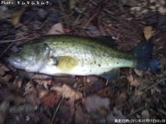 �֥�å��Х�