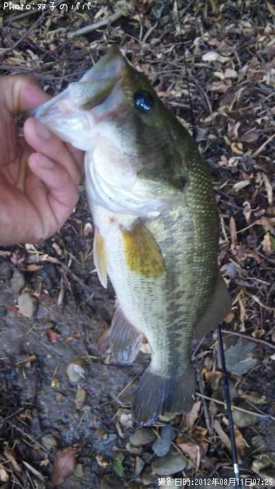 �֥�å��Х�