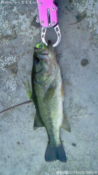 �֥�å��Х�