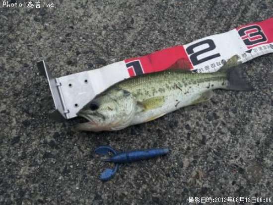 �֥�å��Х�