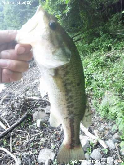 �֥�å��Х�