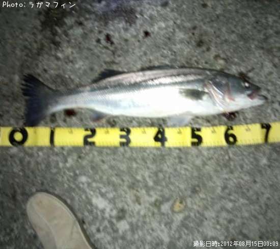 �����Х�