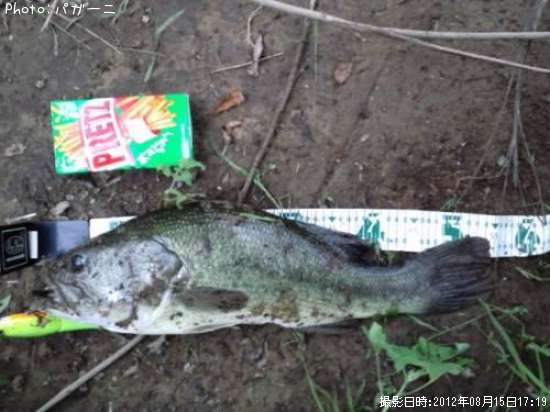 �֥�å��Х�