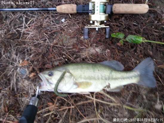 �֥�å��Х�