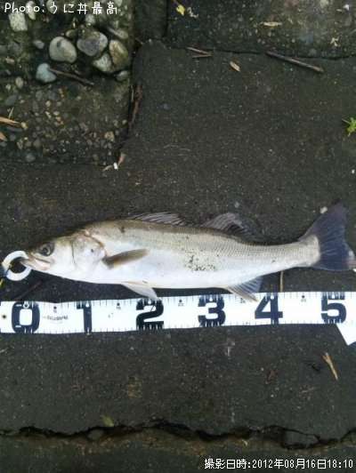 �����Х�