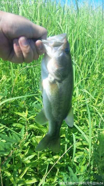 �֥�å��Х�