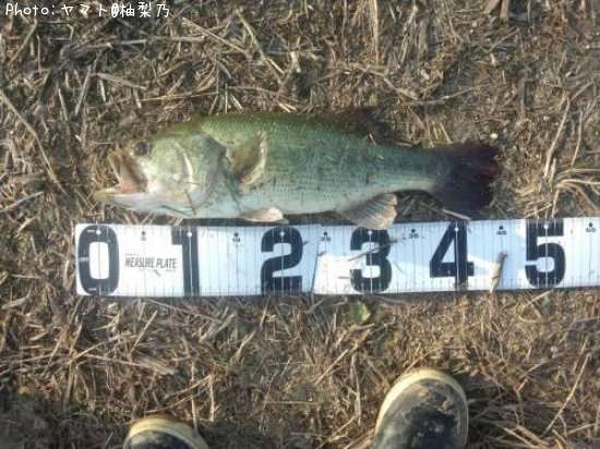 �֥�å��Х�