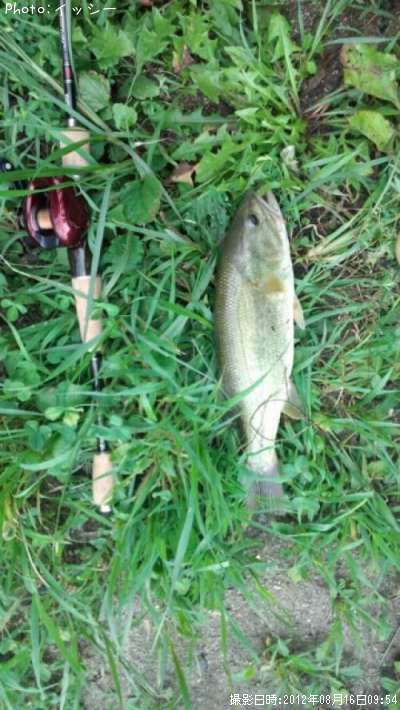 �֥�å��Х�