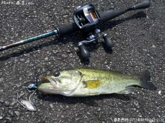 �֥�å��Х�