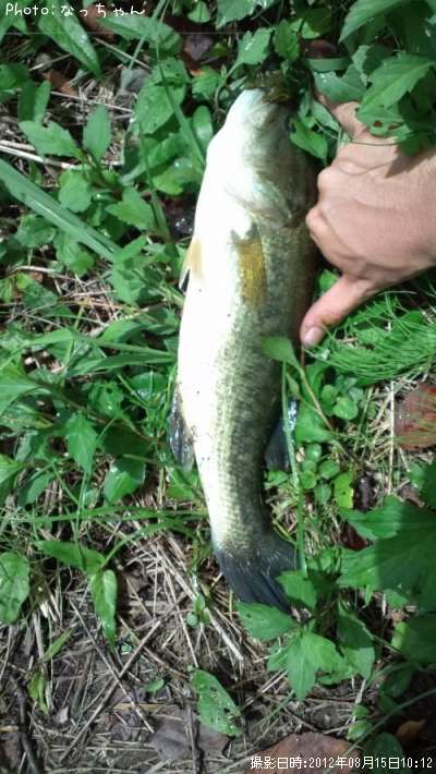 �֥�å��Х�