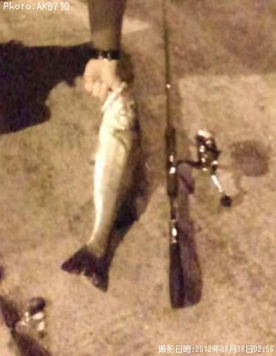 �����Х�