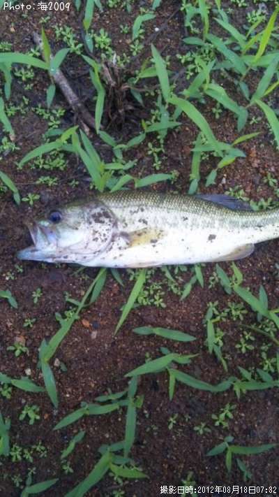 �֥�å��Х�