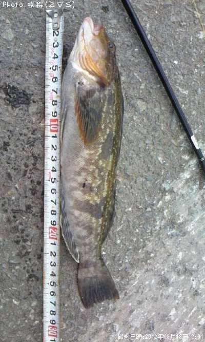 �����ʥ�