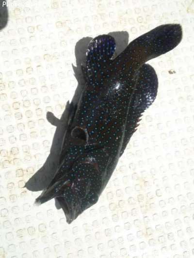 �����Υ�ϥ�