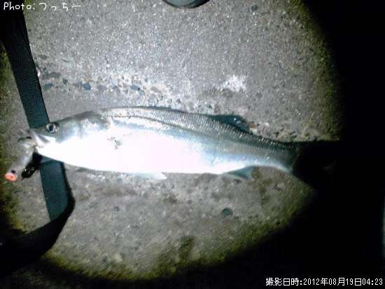 �����Х�