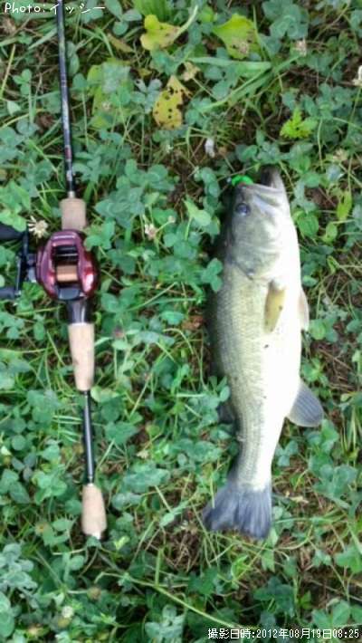 �֥�å��Х�