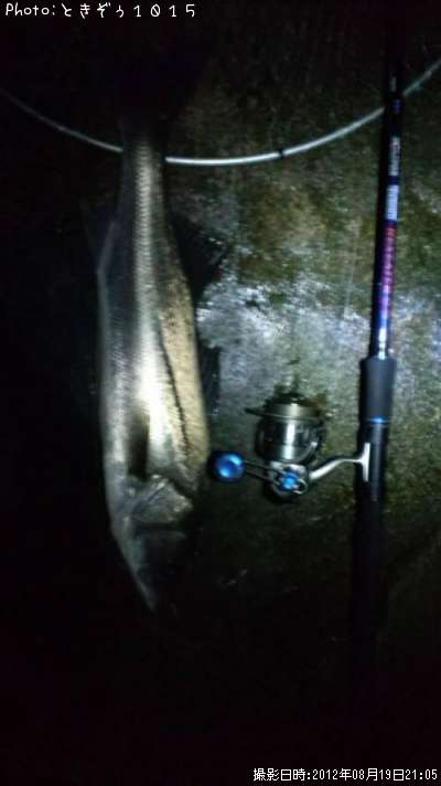 �����Х�