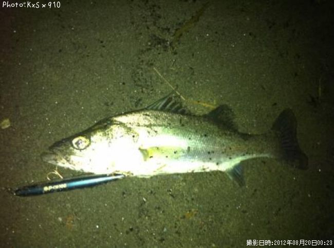 �����Х�