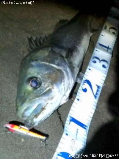 �����Х�